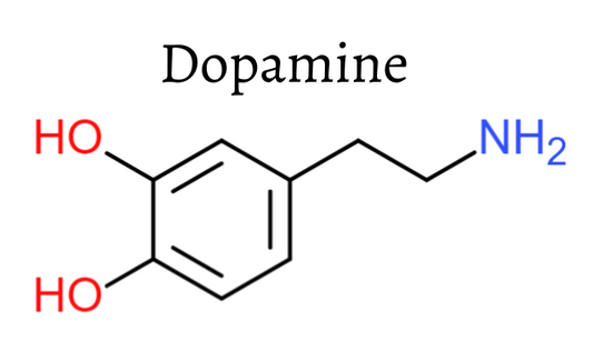 Valentines Collection - Dopamine
